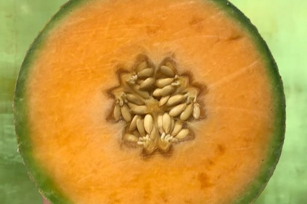 Cantaloupe with Carlson