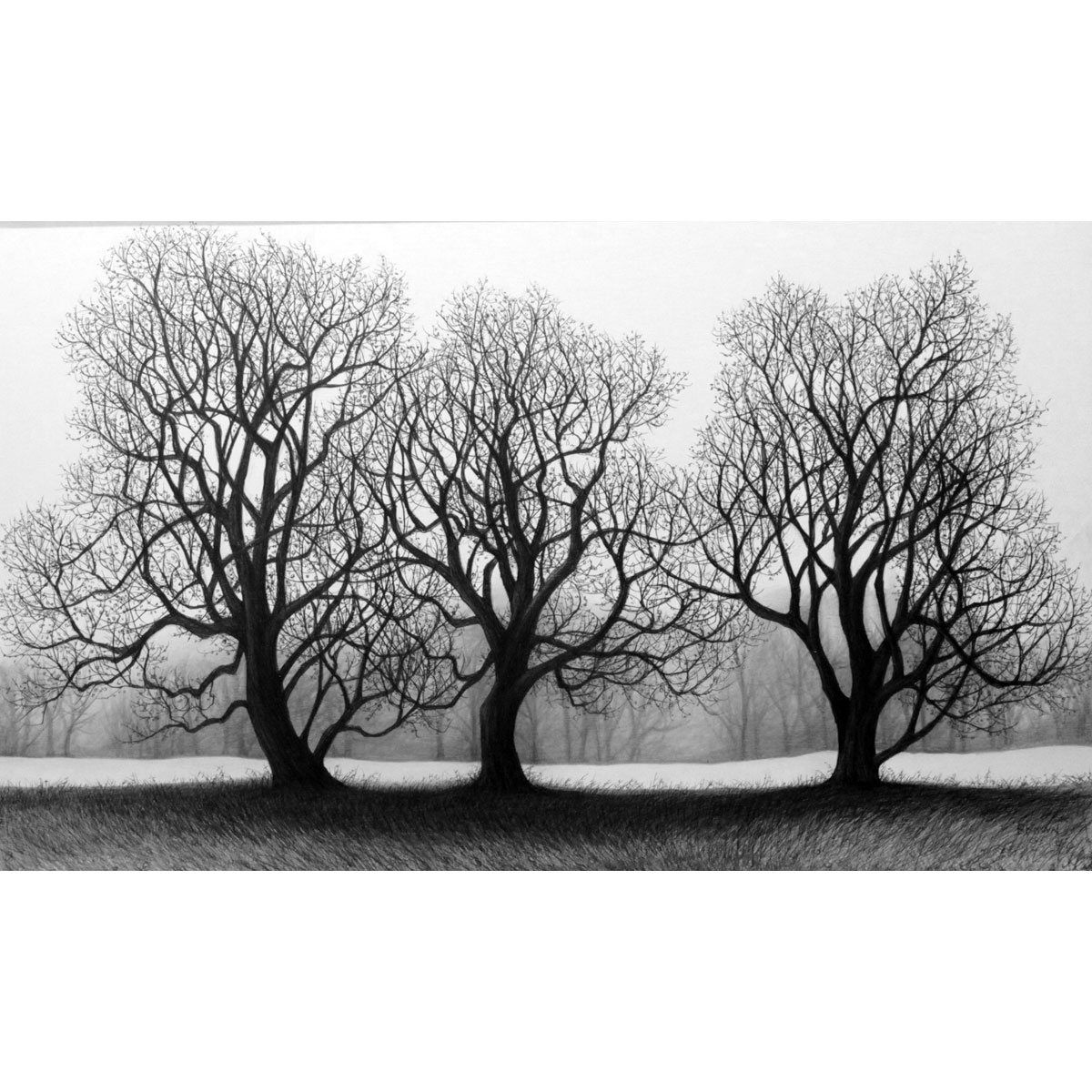 Three Trees by Chris Brown
